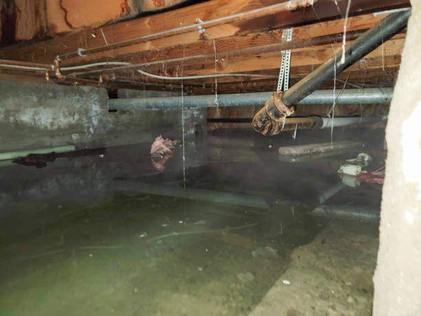 Best Sewage cleanup and water damage restoration  in Annetta, TX