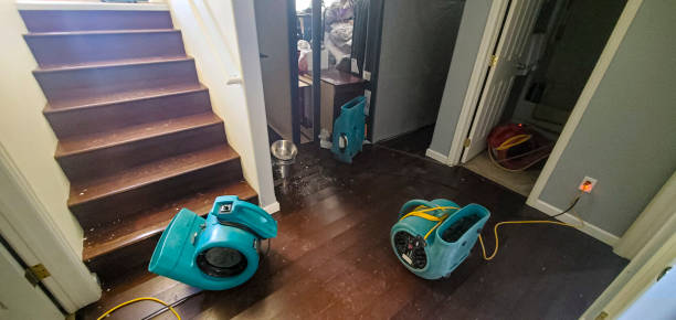 Best Water damage contractors near me  in Annetta, TX