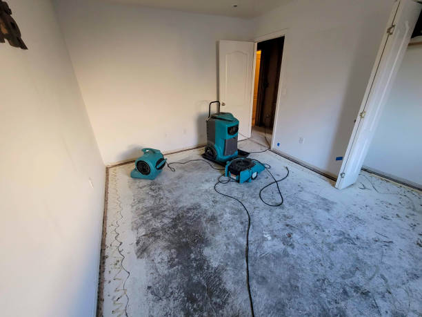 Best Flooded house restoration  in Annetta, TX