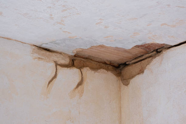 Best Residential water damage restoration  in Annetta, TX