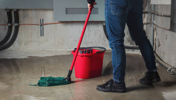 Best Water damage cleanup near me  in Annetta, TX