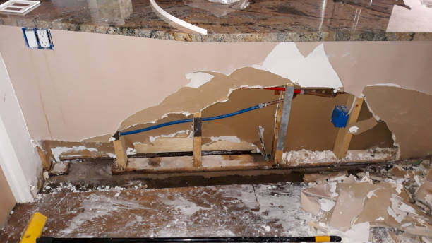 Best Mold removal after water damage  in Annetta, TX