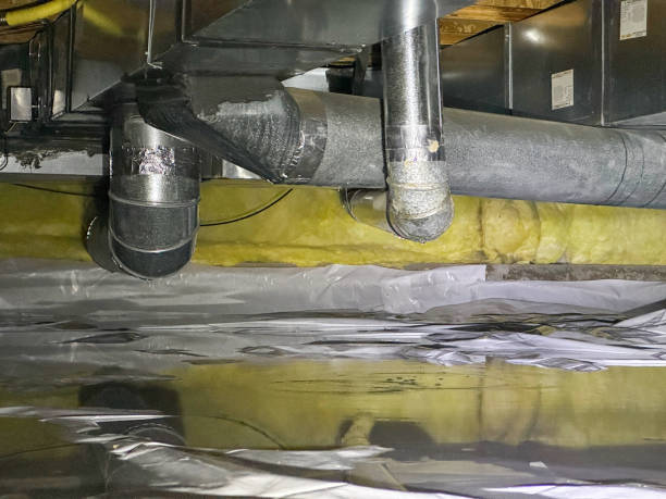 Best Professional water damage repair  in Annetta, TX
