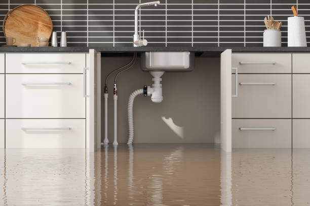 Best Mold removal after water damage  in Annetta, TX