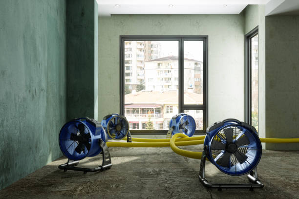Best Local water damage restoration  in Annetta, TX